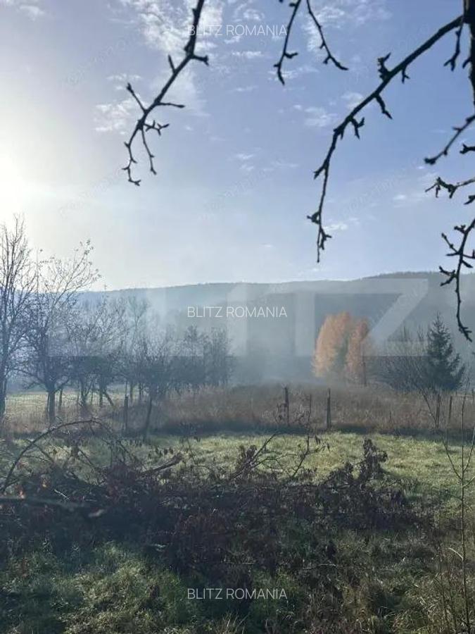 Casa de vacanta de vanzare, in Lisnau - Comuna Ozun - 9