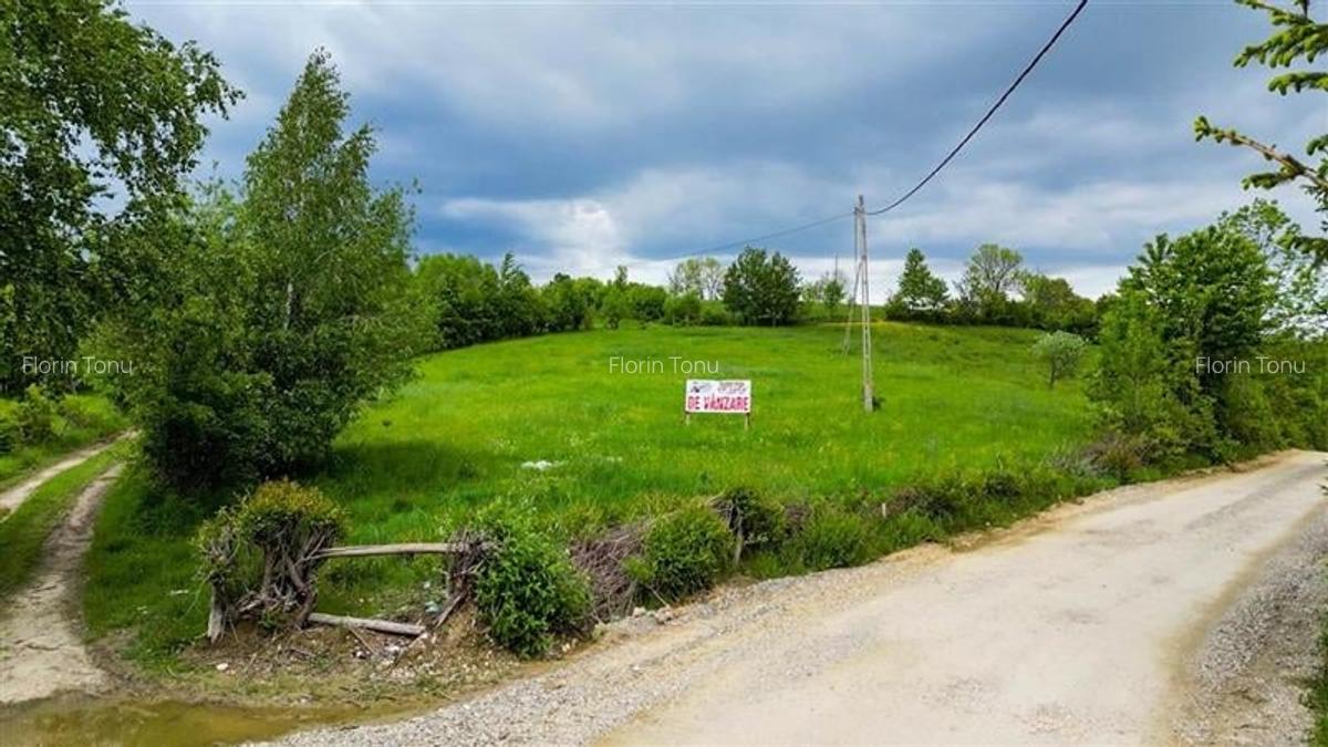 Film! 11.000 mp,pozitionare valoroasa,conditii apreciabile, Sohodol, Bran, Braso - 2