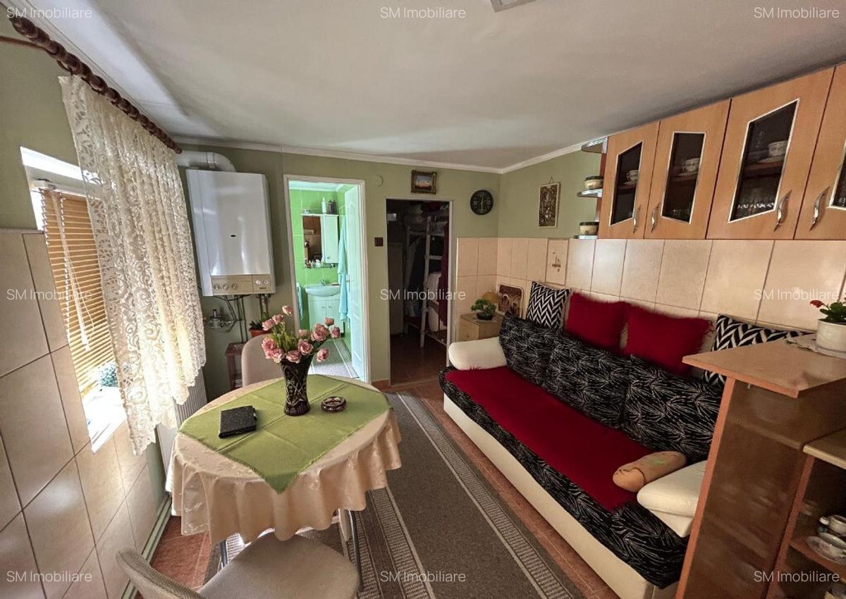 Casa spa?ioasa zona Titulescu Satu Mare ideala 1/3 familii sau birou - 9