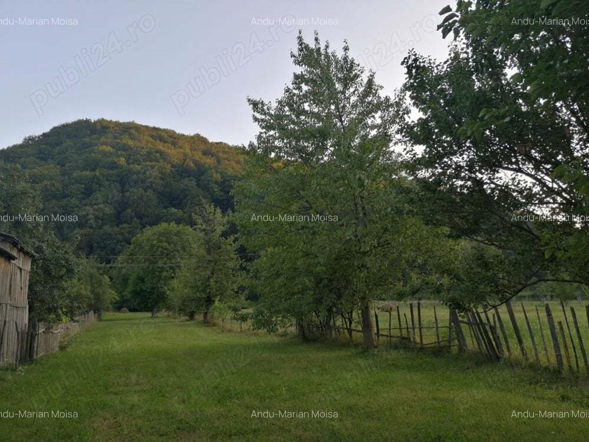 Vand casa batraneasca ?i teren 2500 mp la munte langa barajul Valea Uzului. - 5