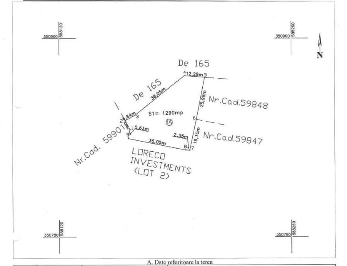 Teren de vis în Dumbrava Vlăsiei – 1290 mp, la marginea pădurii mature - 8