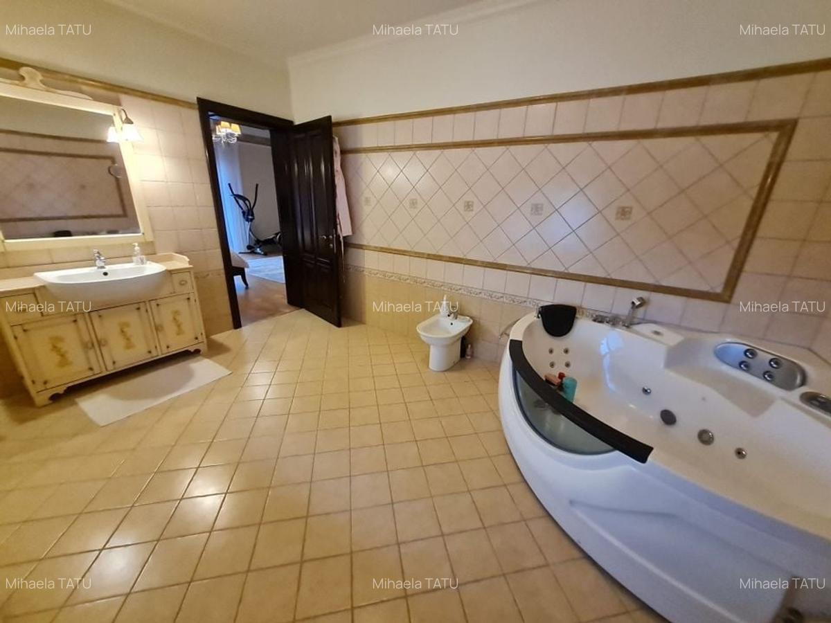 Poziție de top în Dumbravita - 31