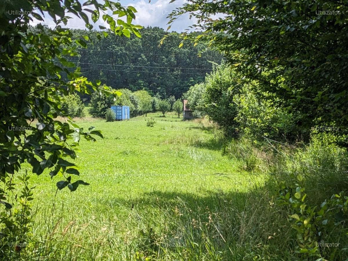 Teren Rasinari Co-proprietar teren 5000m - 2