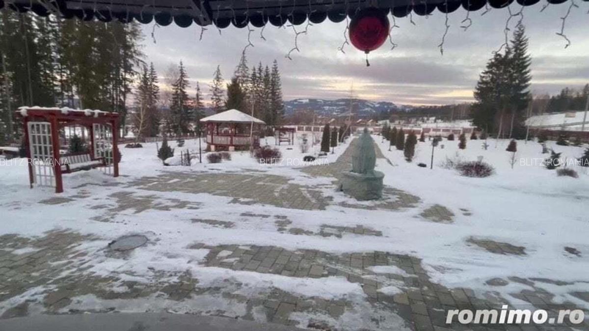 Domeniu situat la poalele Calimanilor - 9