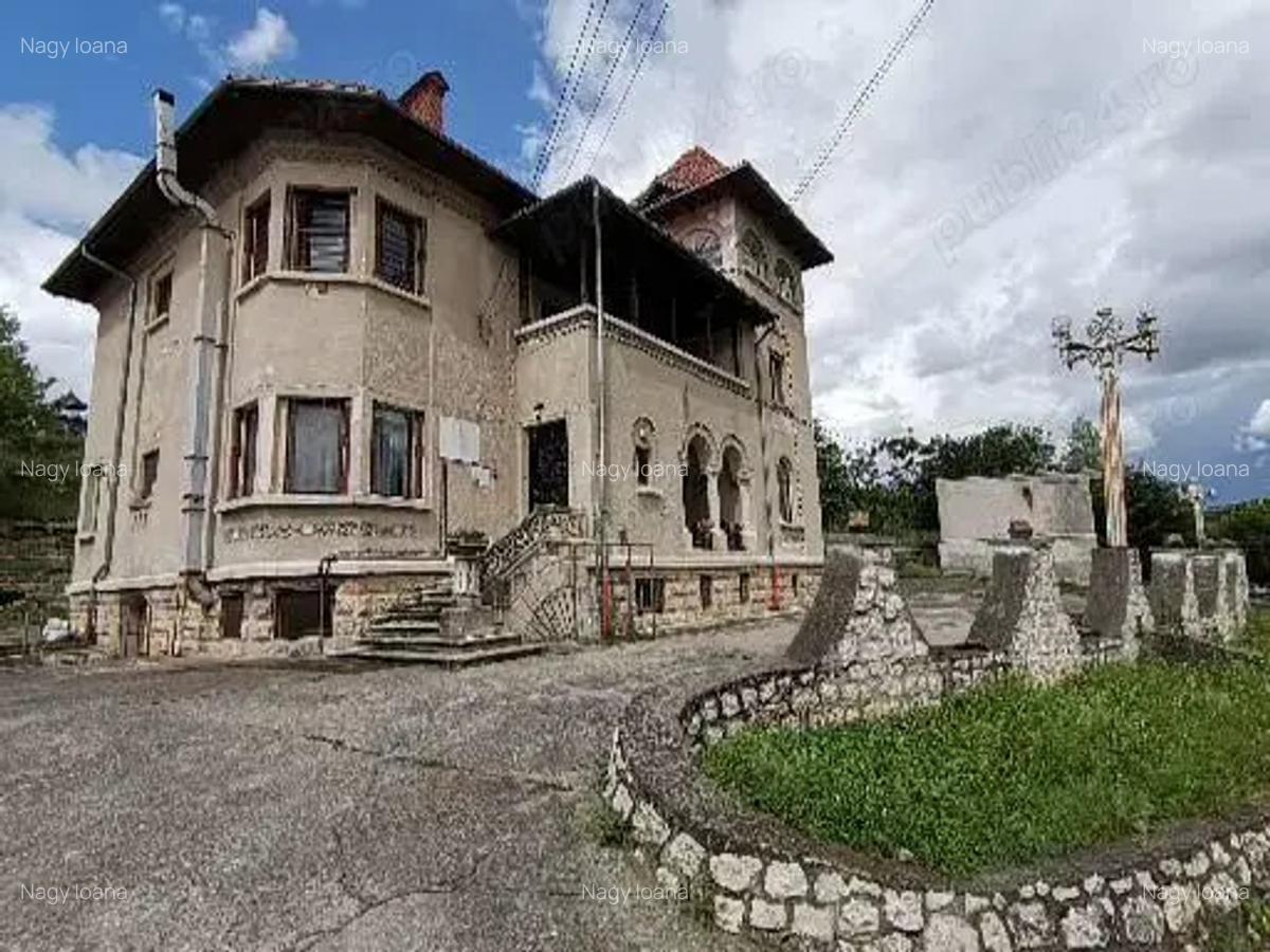 Conac de vanzare - 1