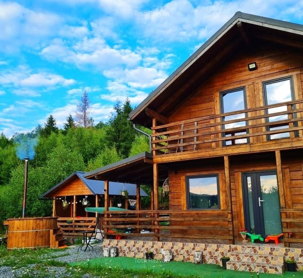 Cabana de vanzare  in Muntii Apuseni – Valea Ierii - 2 Cabana de vanzare  in Muntii Apuseni – Valea Ierii - 2