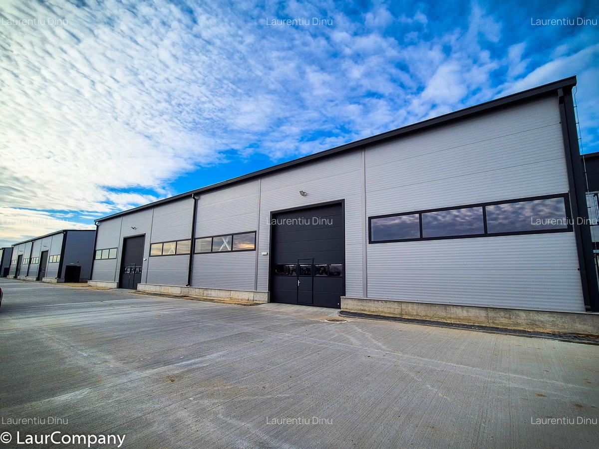 Hale,spatii industriale Albota,Pitesti Arges - 3