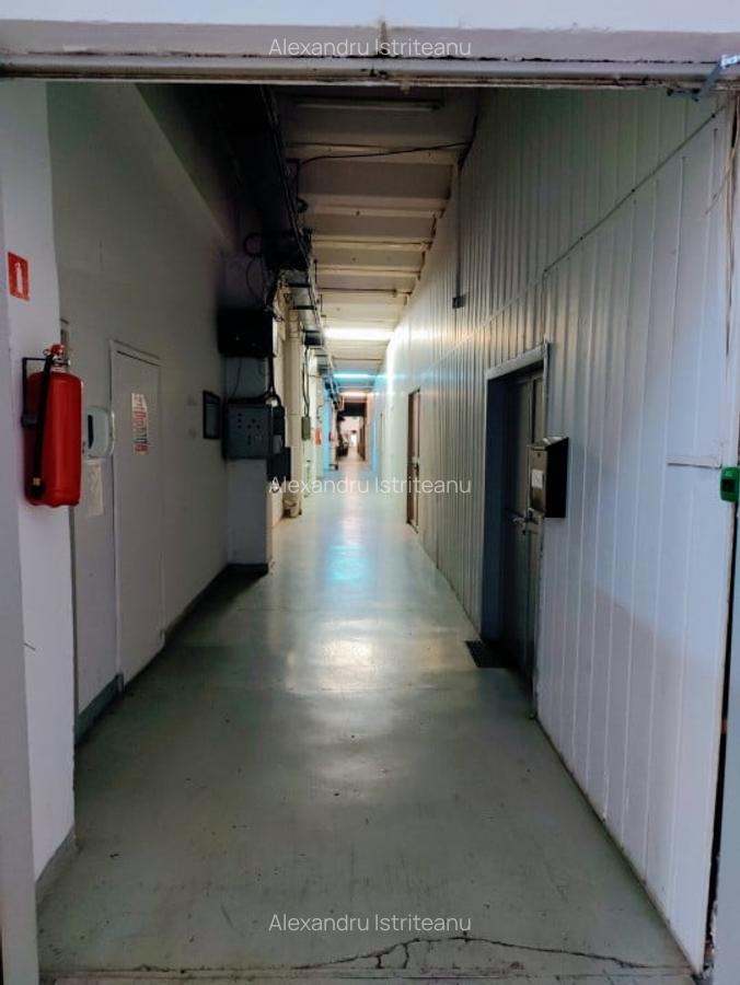 Spatiu Th. Pallady | Ozana | Depozitare-Productie 90mp 180mp 270mp - 6