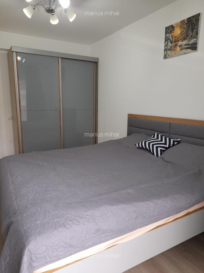 Apartament 2 camere de inchiriat zona Porii - 3