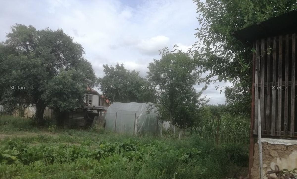 Teren intravilan jud.  Bihor - 5
