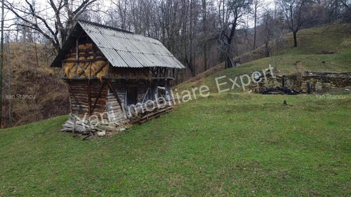 Teren de vanzare in comuna Arefu, jude? Arge?. - 17