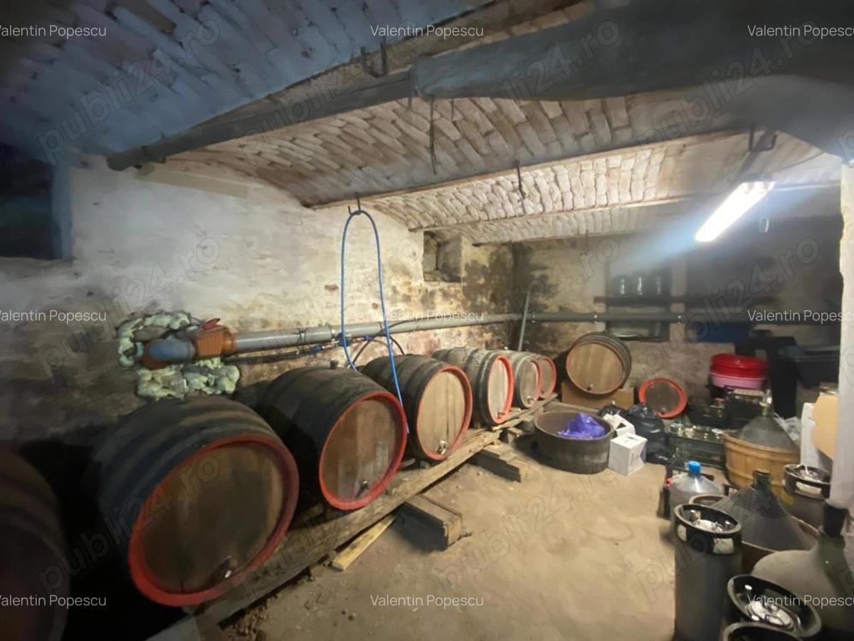 Popescu Valentin - 5