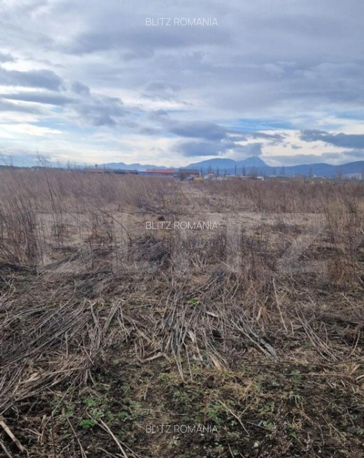 Teren de vanzare 1500 mp - intravilan Codlea - 30 euro mp - 4
