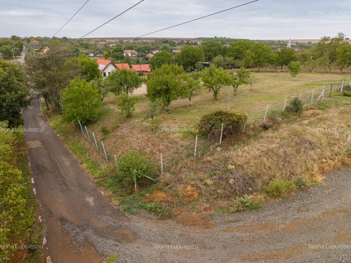 Teren intravilan 1584 mp in Murani - ideal pentru casa sau pensiune - 11