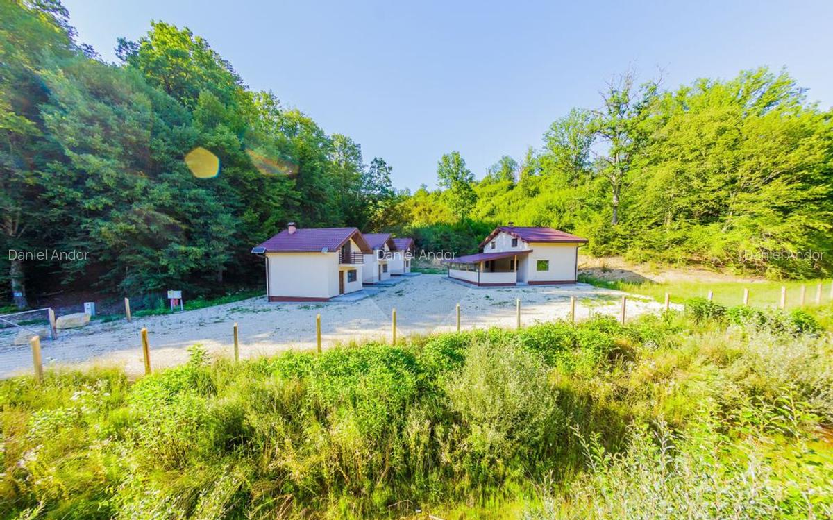 Afacere, Pensiune cu 9 camere de vanzare - 3