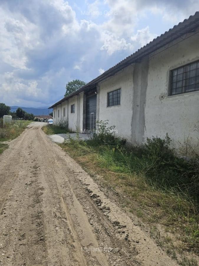 Inchirez hala pt servi ce camioane, sau depozitare Cristian Sibiu - 8
