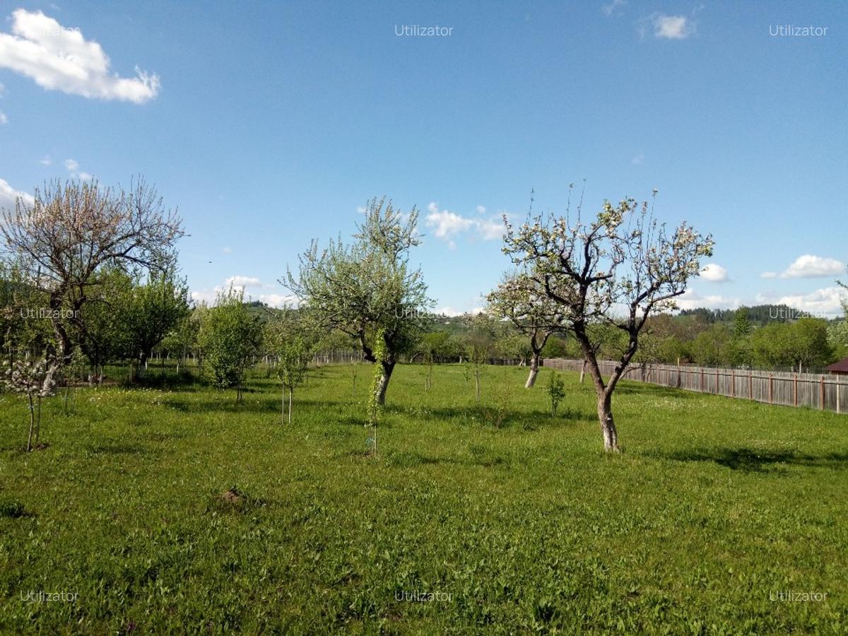Teren intravilan in Nereju, Vrancea - 1