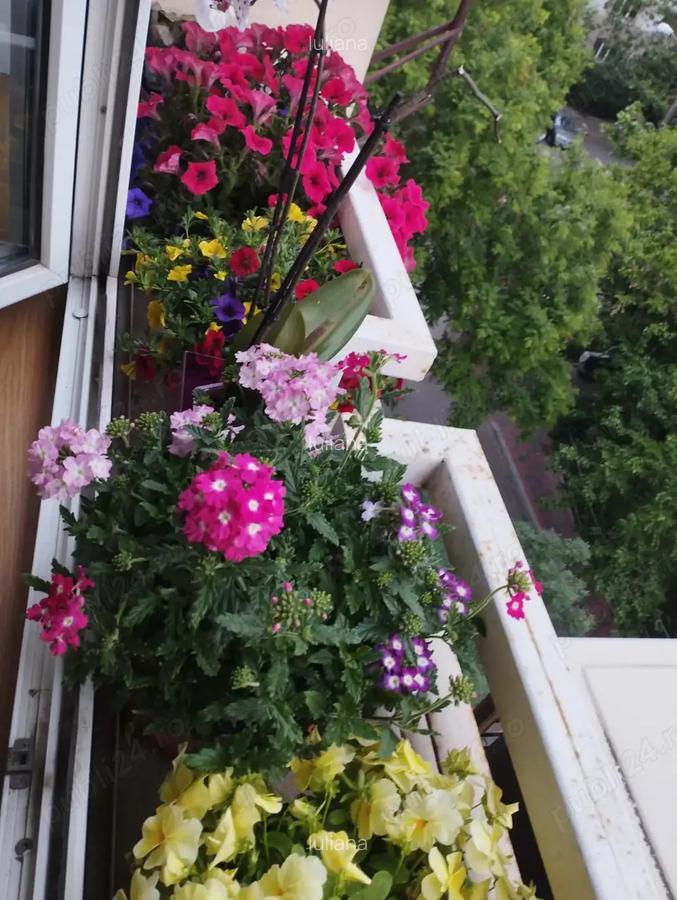 Proprietar- Apartament 3 camere pentru inchiriere 690 EURO - 7 Proprietar- Apartament 3 camere pentru inchiriere 690 EURO - 7