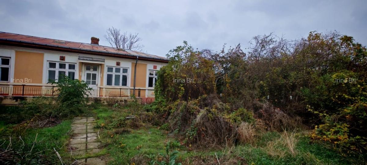 Casa locuibila cu 3 camere, 1700 mp teren deschidere 30 m, DOMNESTI - 8