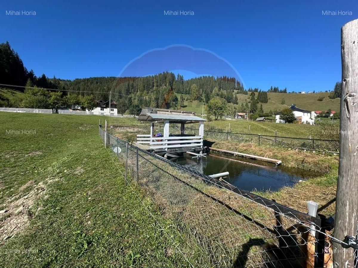 Casa in Vatra Dornei, zona Argestru, cu 11.541m.p. TEREN INTRAVILAN - 20