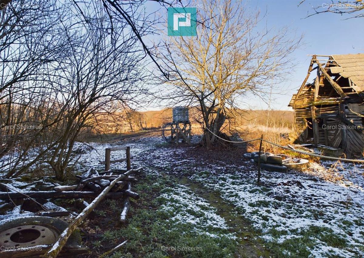 Casa de vacan?a de vanzare in Tau? - 2