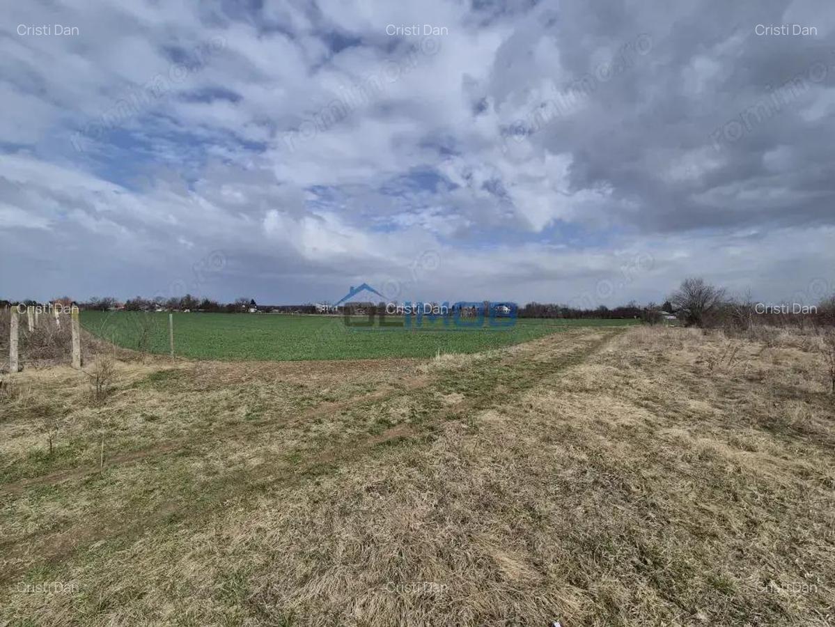 Teren intravilan Izvorani - Delta Snagov - 2