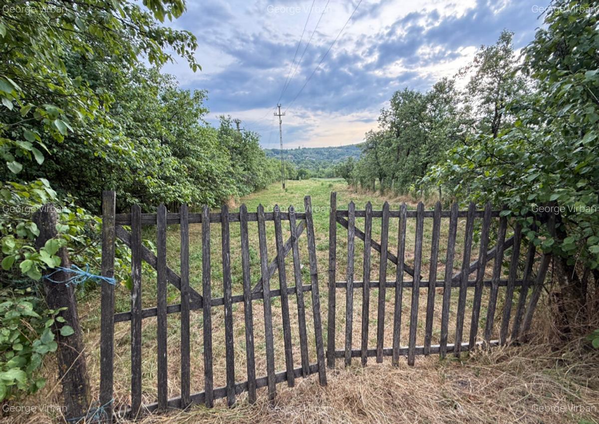 Teren intravilan 3600 m2 Drajna, Prahova - 4