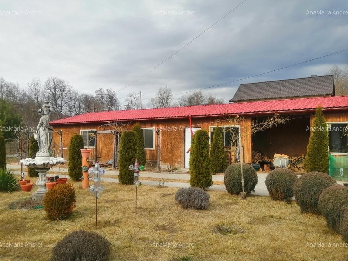 Casă cu 7 camere în Mălureni - 7