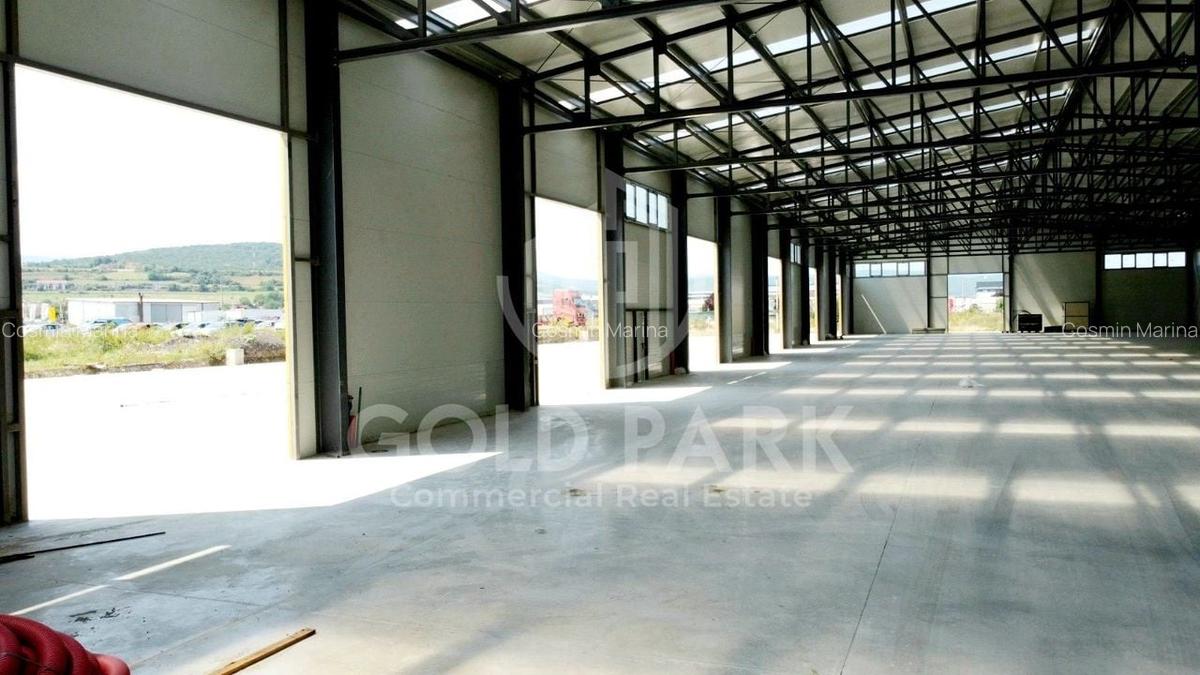 Spatiu Industrial-HALA NOUA/MODERNA-Zona Autostrazii- Curte Betonata - 11