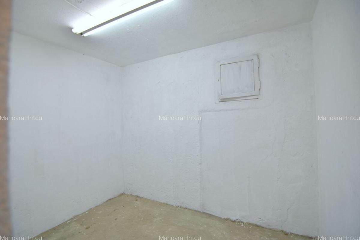 Apartament 3 camere cu garaj-str Stefan Octavian Iosif Timisoara - 10