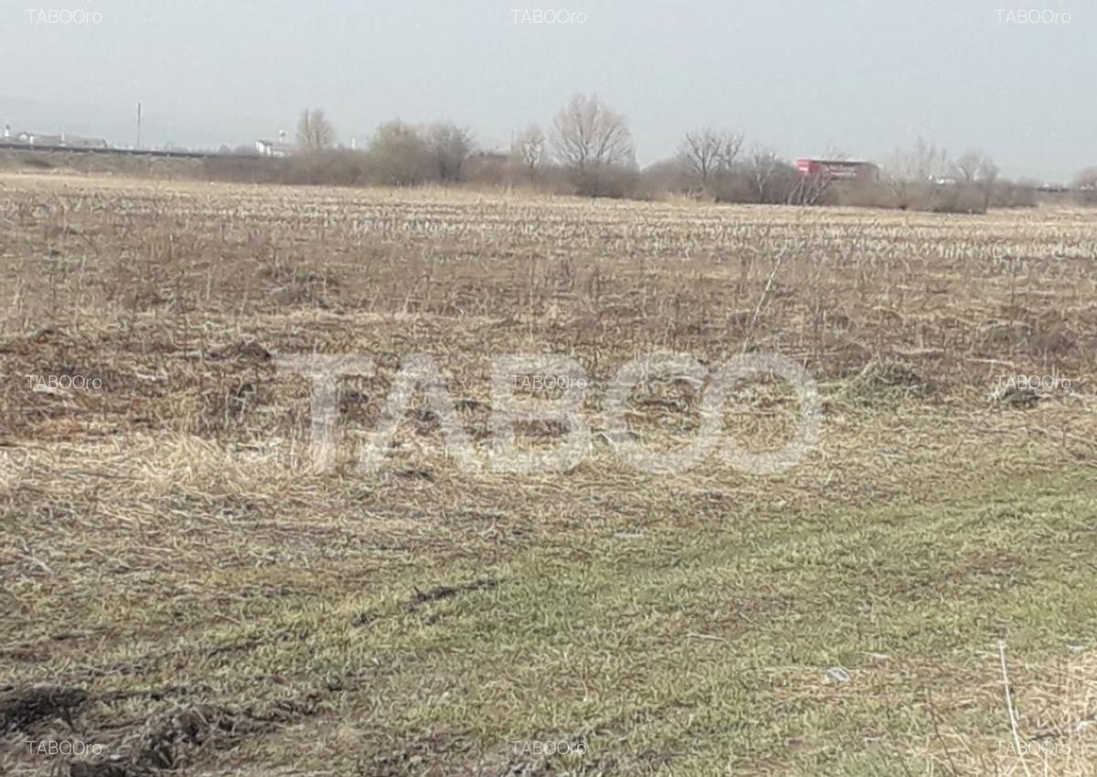 Teren extravilan 4200 mp in Sibiu zona Turnisor - 2
