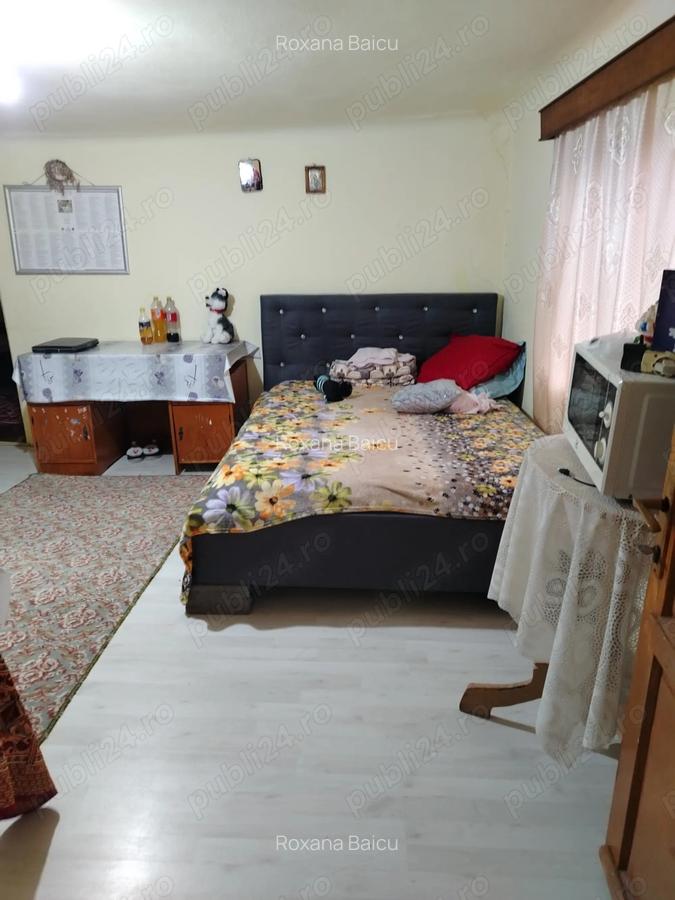 Casa batraneasca plus teren - 2