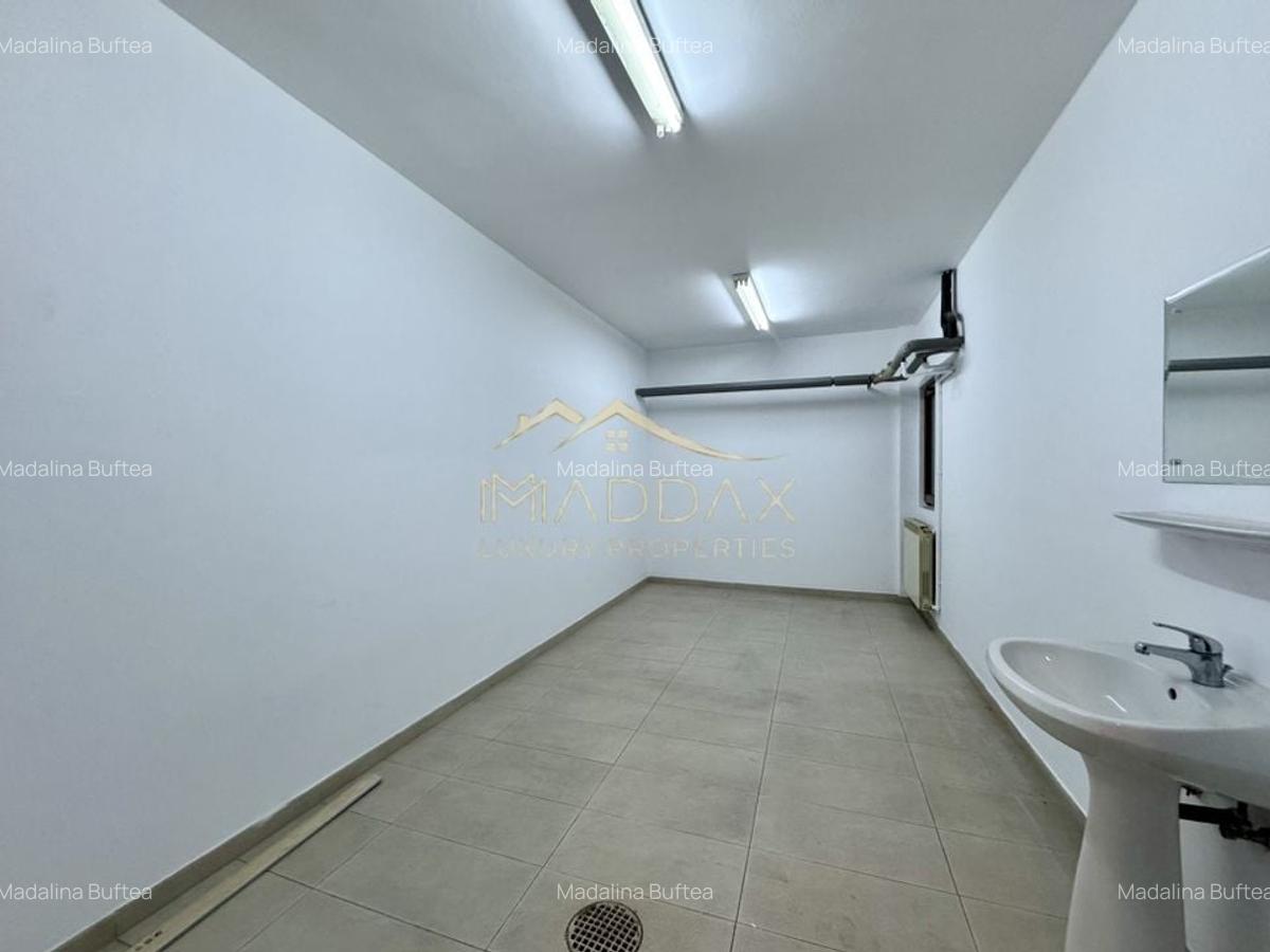 Vila cu 13 camere *460mpu* + garaj // Dorobanți - 41