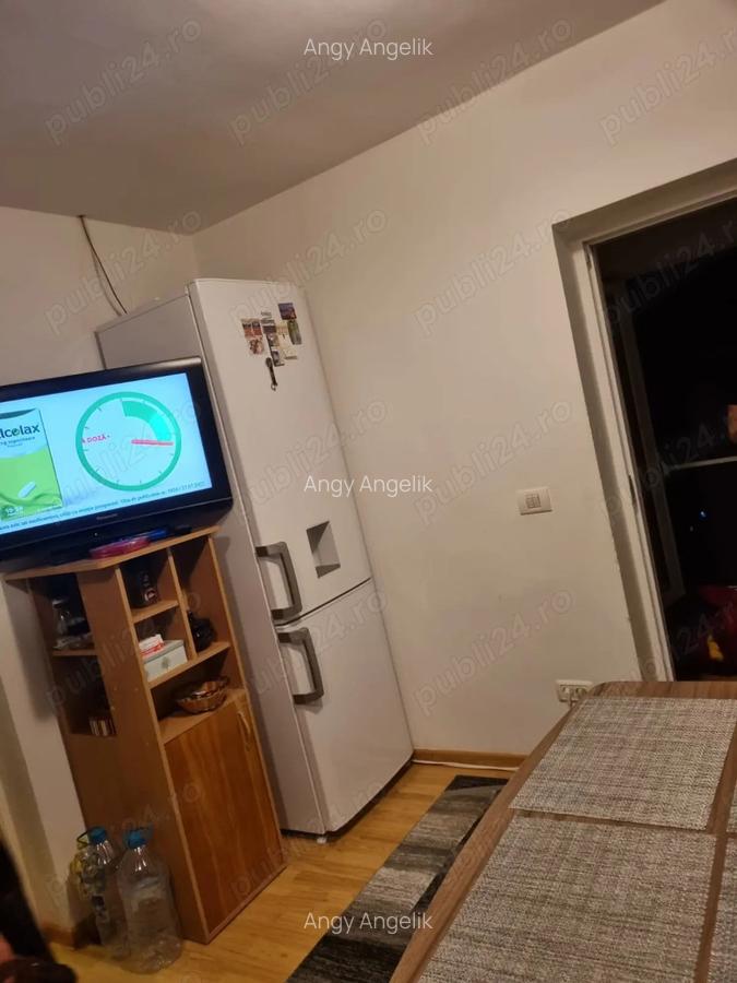 Casa pe pamant de vanzare Valu Traian - 7