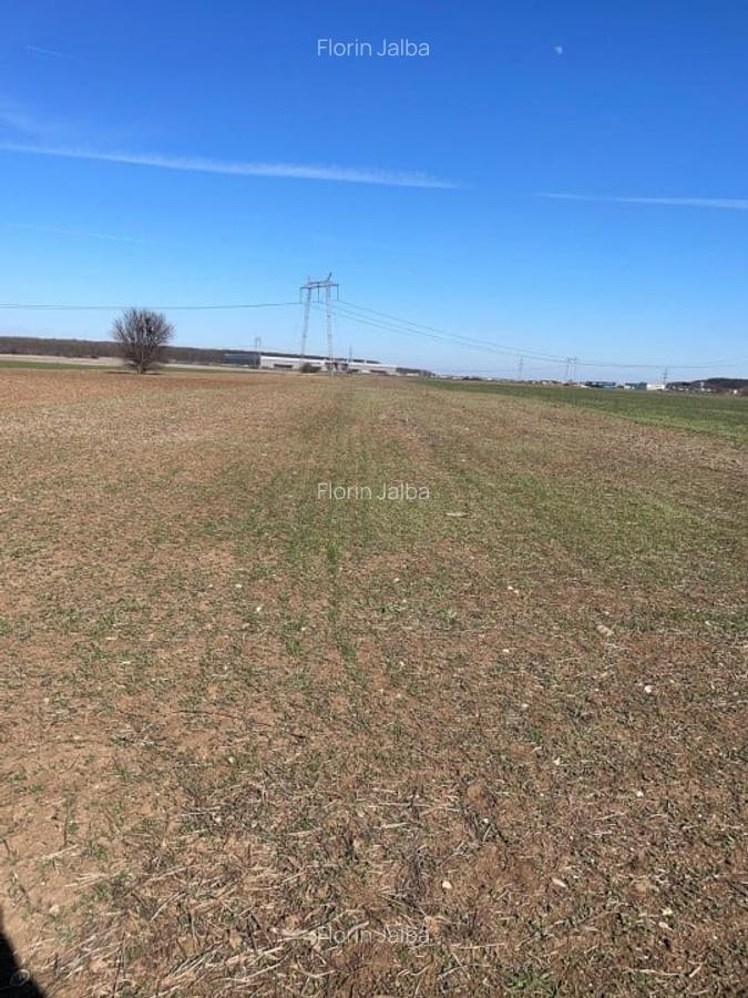 Vanzare | Teren Intravilan 5000 mp | Str. Viitorului | - 3