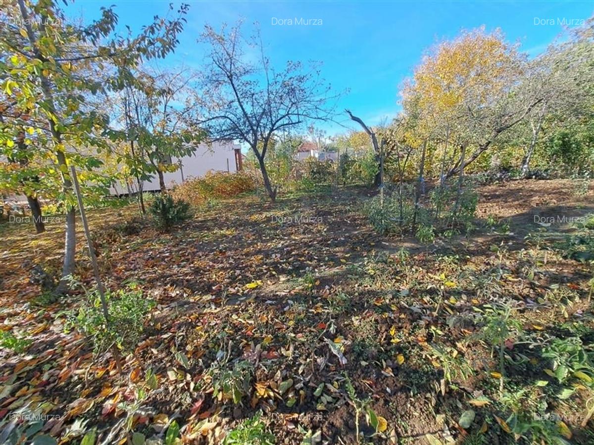 RECO casa - zona Oncea - 21