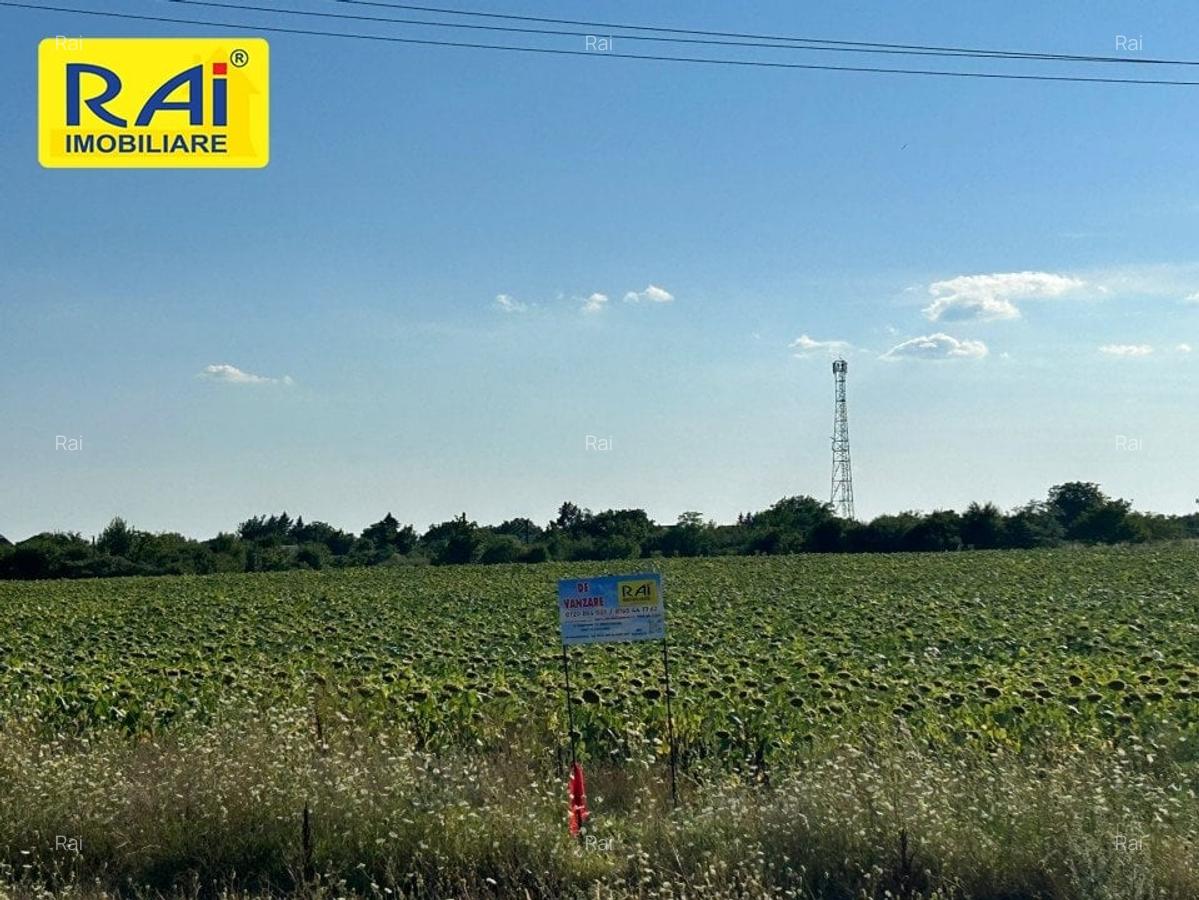 Terenuri cu deschidere 20m la Centura in suprafata  de 5950 mp si 6481 mp - 4
