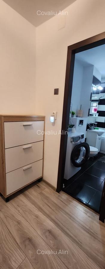 Apartament 3 camere Bulevardul Victoriei, suprafata 77 mp, mobilat si utilat ! - 14