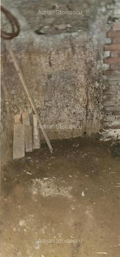 Vanzare Casa individuala+ Teren Gara de Nord-Golescu - 7