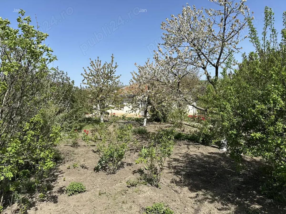 Casa cu 3 camere Zaicesti - 7