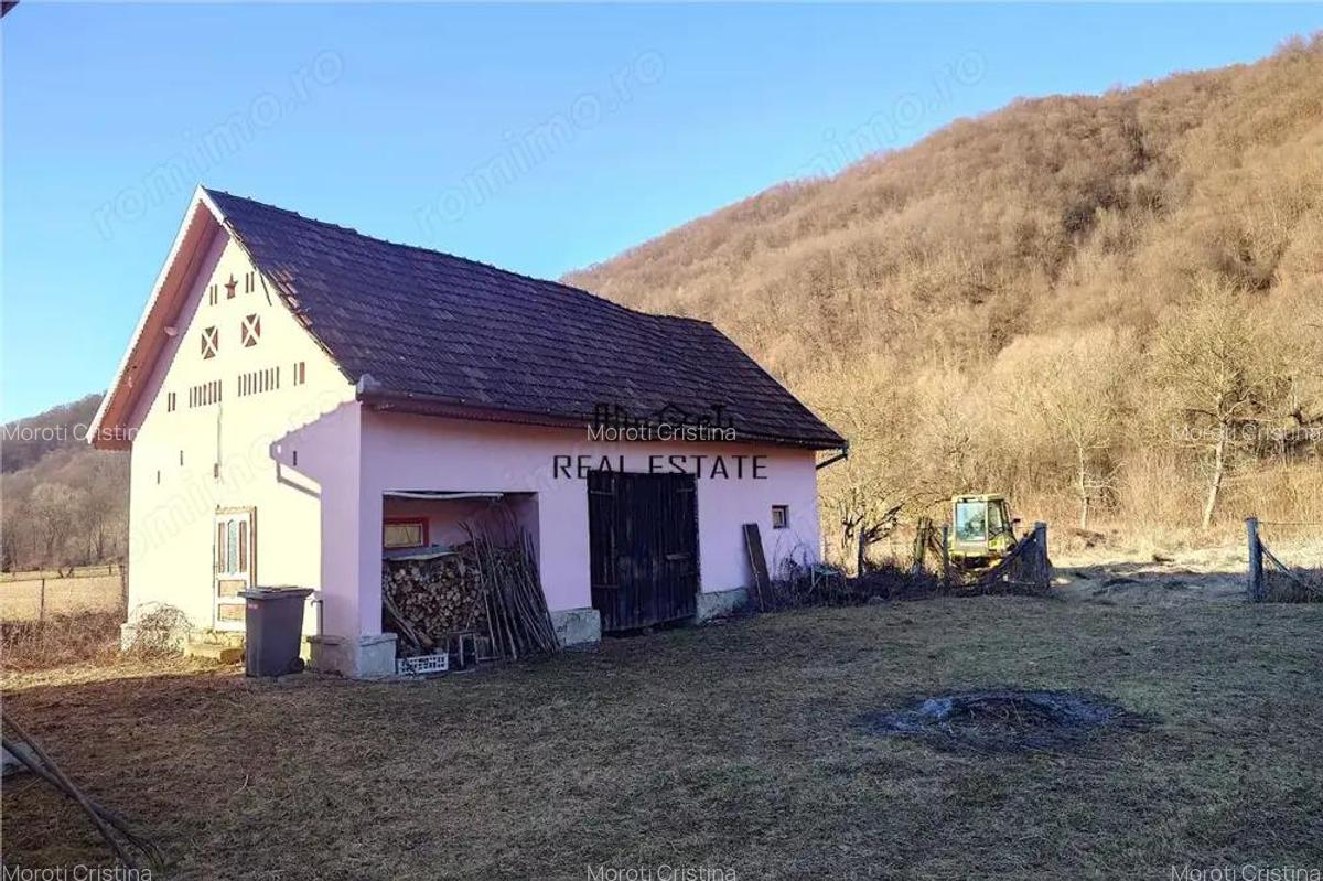Proprietate cu potential in Apuseni - fosta pizzerie, ideala pentru afacere sau locuinta - 14