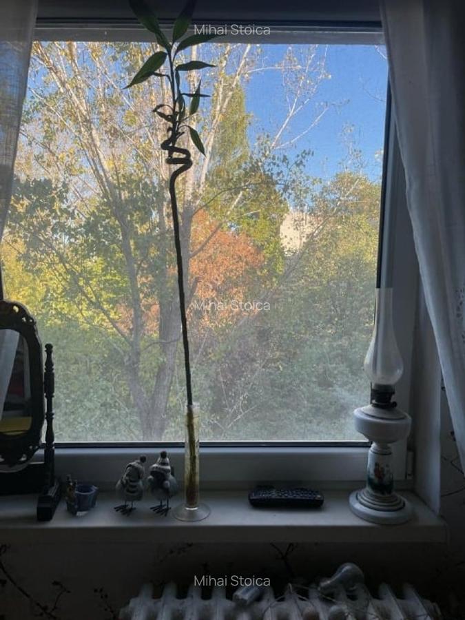 Apartament 3 camere, bloc reabilitat termic, Nicolae Grigorescu - 6