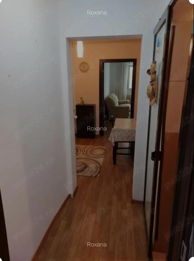 Vanzare apartament 2 camere - Delfinului - 3
