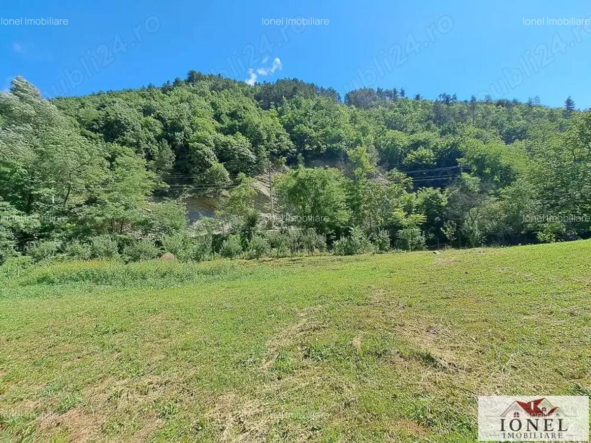 Casa de vanzare in zona Vintu cu 10.790 mp teren - 11