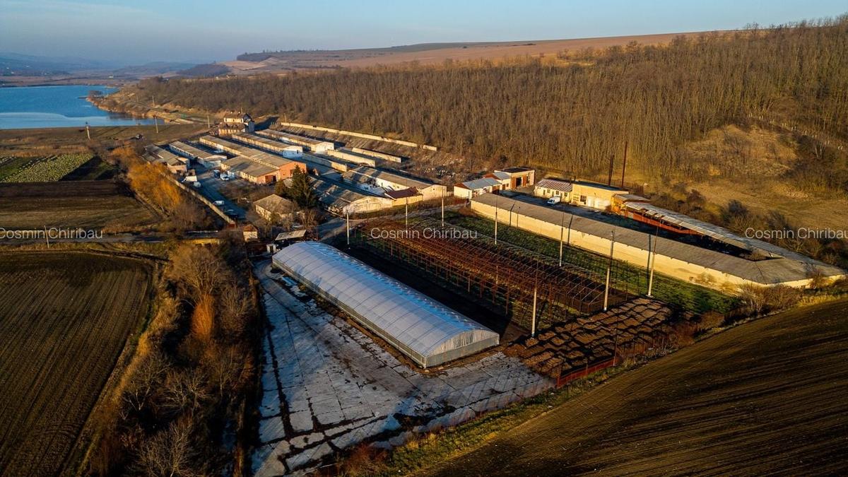 Fosta Ferma a Partidului de la Horgesti - de vanzare - 14