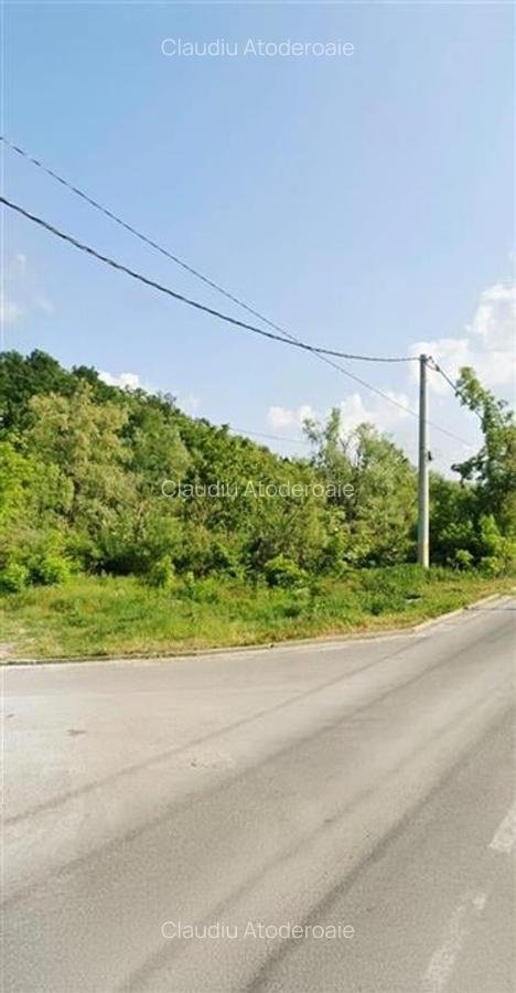 Teren pentru casa cu vedere frumoasa - 3