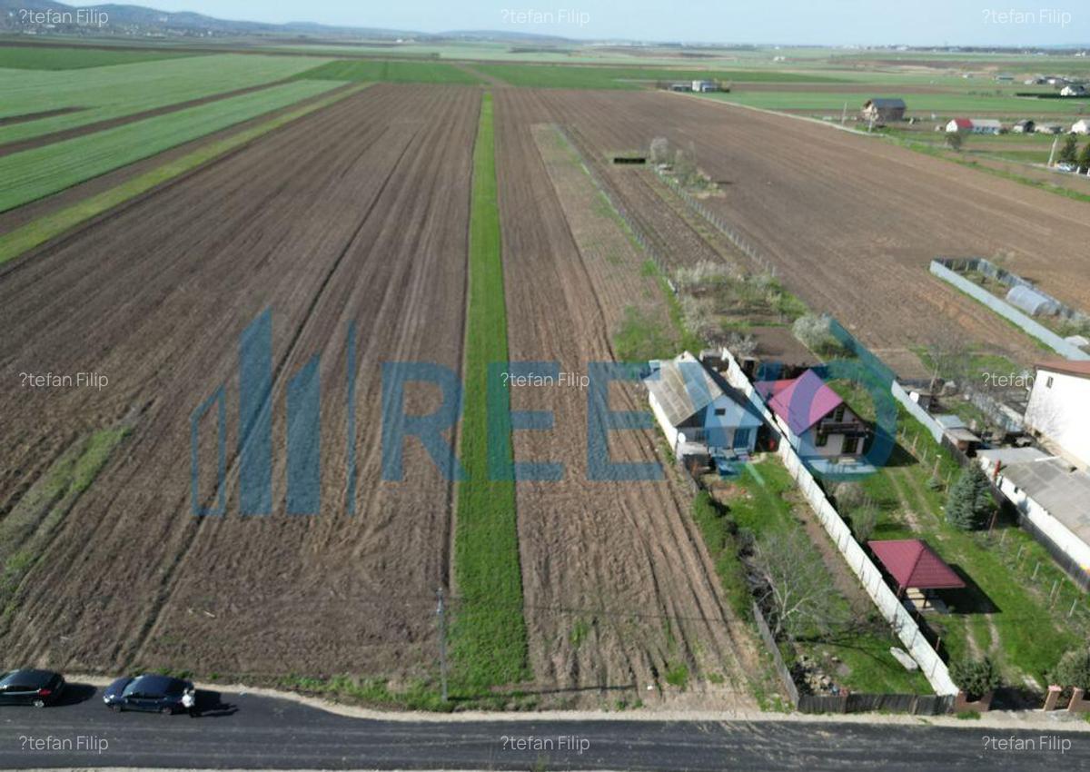 Teren de vanzare, Com. Nicolae Balcescu, Jud. Bacau - 16 Teren de vanzare, Com. Nicolae Balcescu, Jud. Bacau - 16