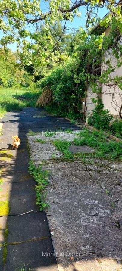 Casa 7 camere suprafata utila 300mp, teren 1000mp,spre vanzare in Cisnadie - 3