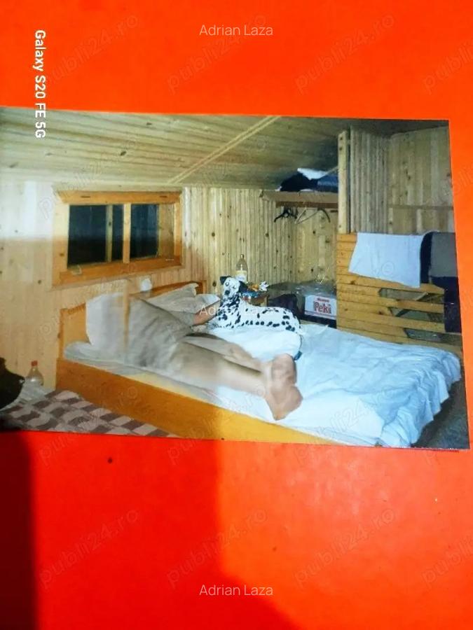 Lepsa Vrancea ,zona retrasa linistita si sigura,cabana si teren de vanzare - 3