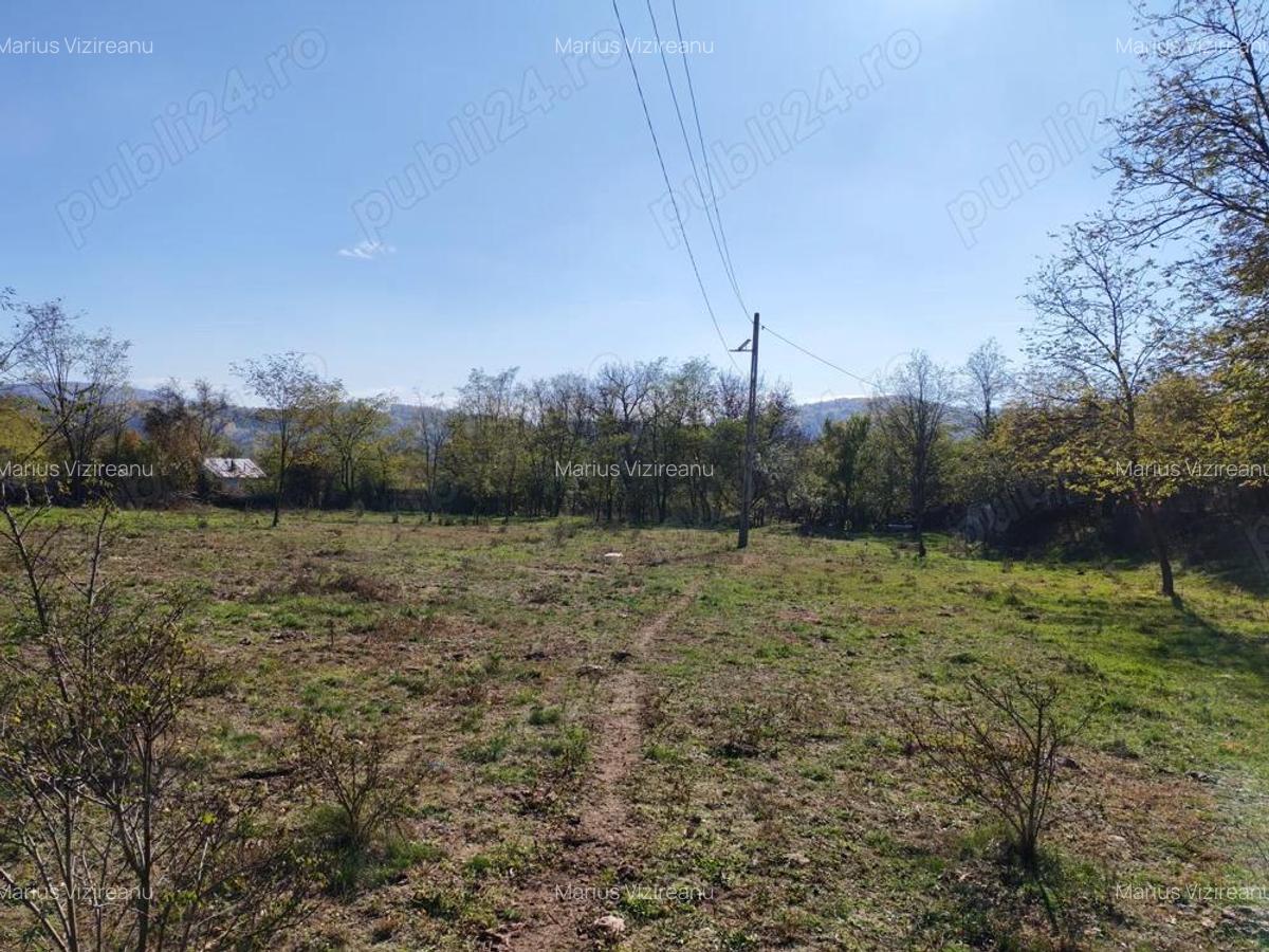 Teren 10000mp.Loc Calvini - 1